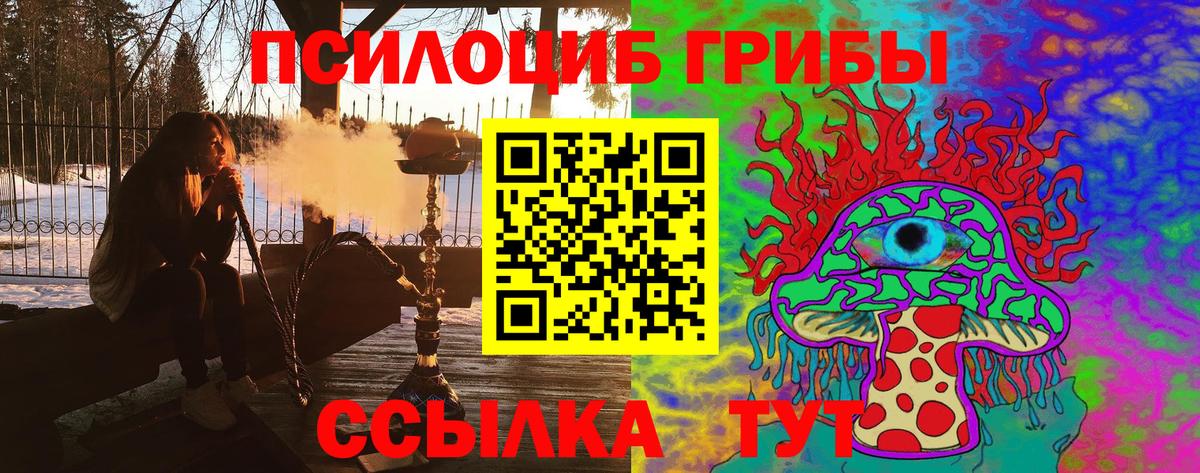 Псилоцибиновые грибы Psilocybe Сальск