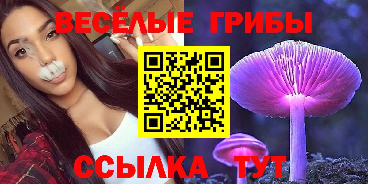 Сальск  Галлюциногенные грибы мицелий  цена   Галлюциногенные грибы ЛСД  Вход с VPN 