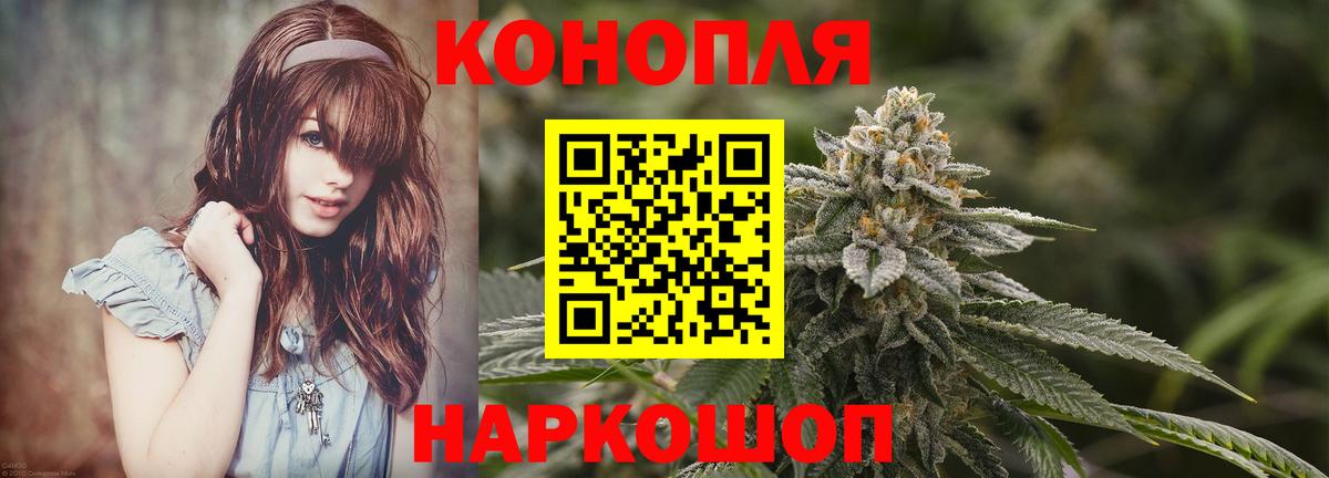 Сальск  Бошки Шишки THC 21%  Конопля OG Kush  Шишки марихуана план  Вход с VPN  Бошки Шишки сатива 